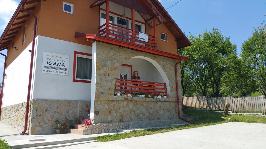 Pensiunea Agroturistica Ioana Bradulet Exterior foto