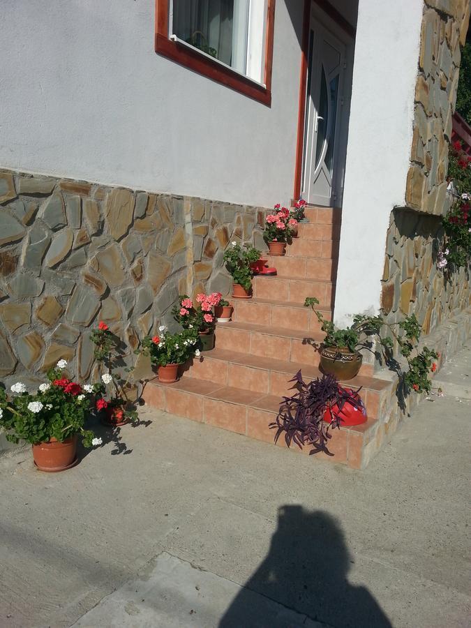 Pensiunea Agroturistica Ioana Bradulet Exterior foto